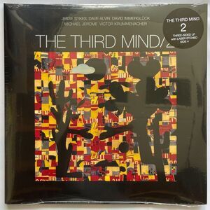 The Third Mind – The Third Mind 2 NEW SEALED Vinyl, Double Vinyl, Yep Roc, 2023